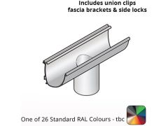 100x85mm Aluminium Aqualine Modern Running Outlet Assemblies with 75mm spigot  - One of 26 Standard Matt RAL colours TBC 